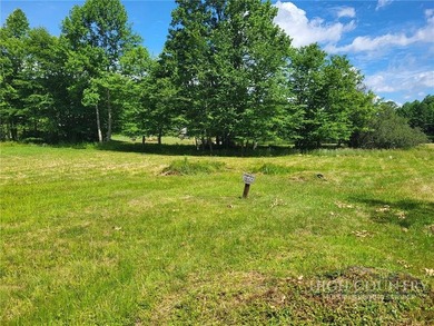 (private lake, pond, coastal) Lot For Sale in Blowing Rock North Carolina