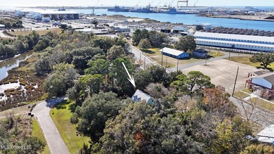 Southern Grace with Bonus Waterfront Lot just minutes from - photo 38