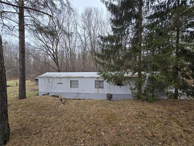 Unlock the potential of this spacious 2-bedroom, 1-bath trailer - photo 4