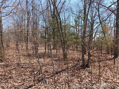 Are you searching for a small tract of non-restricted wooded - photo 1