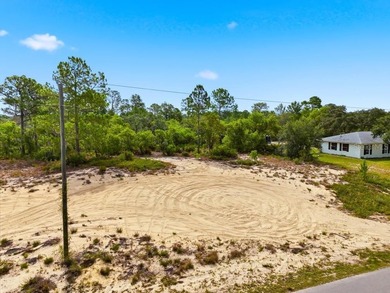 Lake Weohyakapka Lot For Sale in Lake Wales Florida