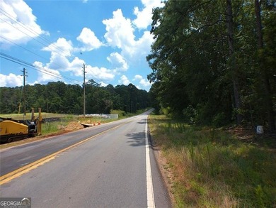 286 feet road frontage on Alcovy Rd and 95 feet on Briarpatch Rd - photo 2