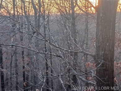 Are you searching for a small tract of non-restricted wooded - photo 2