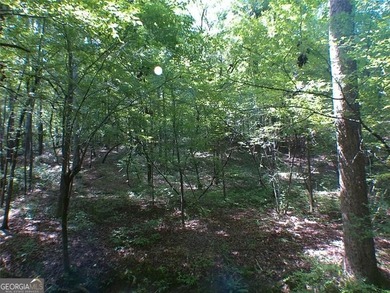 286 feet road frontage on Alcovy Rd and 95 feet on Briarpatch Rd - photo 3