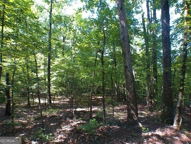 286 feet road frontage on Alcovy Rd and 95 feet on Briarpatch Rd - photo 4