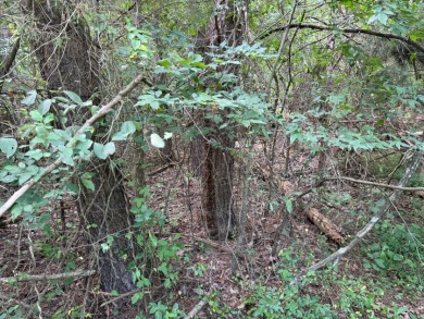 Nolin Lake Lot SOLD - photo 8