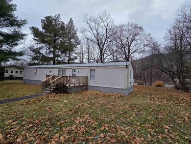 Lake Home For Sale in Parsons, West Virginia