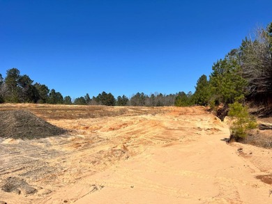 Some properties come ready-made. Others come ready to be shaped - photo 3