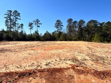 Some properties come ready-made. Others come ready to be shaped - photo 4
