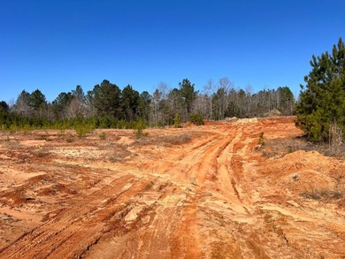 Some properties come ready-made. Others come ready to be shaped - photo 5