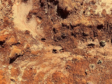 Some properties come ready-made. Others come ready to be shaped - photo 6
