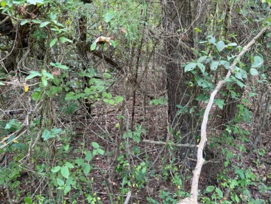 Nolin Lake Lot SOLD - photo 7