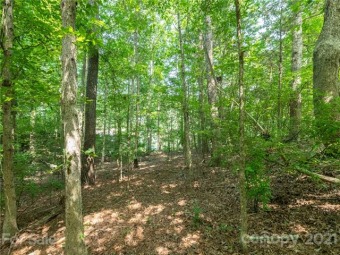 Lake Wylie Lot For Sale in Rock Hill South Carolina