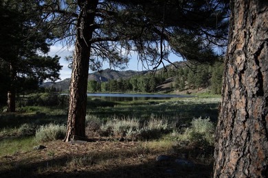 Lake Fork River Ranch, a place where anglers gently wade as elk - photo 2