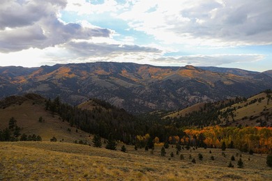 Lake Fork River Ranch, a place where anglers gently wade as elk - photo 6