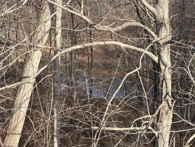 An exceptional opportunity to own a highly versatile 20-acre - photo 8