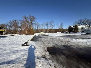 FOR SALE FOR LEASE OR BUILD TO SUIT Prime redevelopment property - photo 4