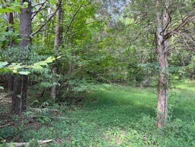Nolin Lake Lot SOLD - photo 6