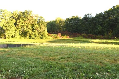 Luxury new construction by Regal Custom Homes in Chatham Hills - photo 17