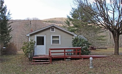 Lake Home Off Market in Arkville, New York