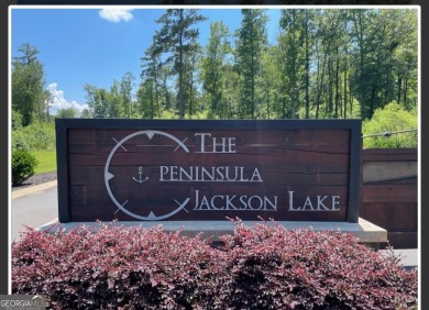 Lake Jackson Lot Sale Pending in Monticello Georgia