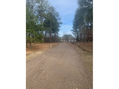 Ideal Lot For Nature Lovers- REDUCED! SOLD - photo 7