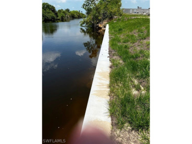 FRESH WATER CANAL LOTS ALREADY HAS SEAWALL IN PLACE. READY TO - photo 6