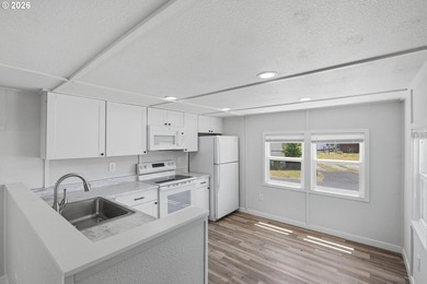 Move-in ready and fully remodeled! This 2-bedroom, 1-bath home - photo 10