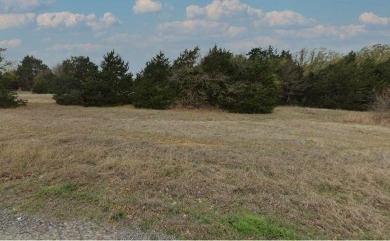 T P Lake (Willow Lake Estates) Lot For Sale in Wills Point Texas