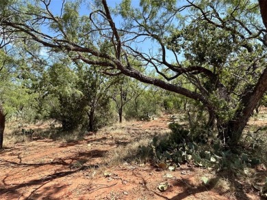 Lake Acreage For Sale in Winters, Texas