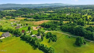 Perched on over 2 acres with breathtaking mountain views, this - photo 36