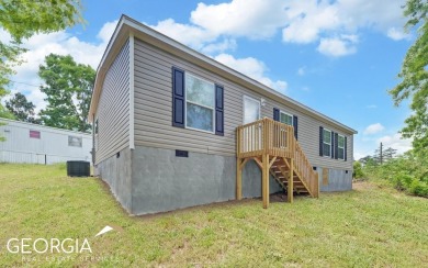 Lake Home For Sale in Toccoa, Georgia
