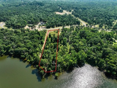Lake Lot For Sale in Chandler, Texas