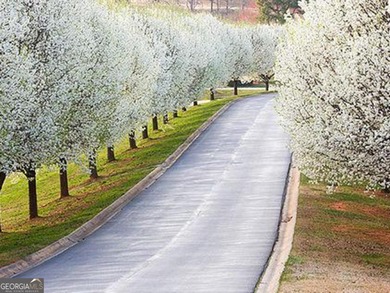 Lake Lot For Sale in Clarkesville, Georgia