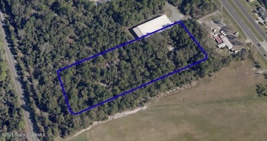 Unlock the potential of this exceptional vacant industrial - photo 1