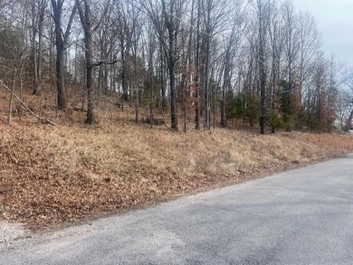 Lake Lot For Sale in Reeds Spring, Missouri