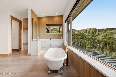This brand new, never lived, in home commands one of Schweitzer - photo 38