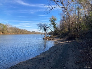 Black Warrior River Acreage For Sale in Fosters Alabama