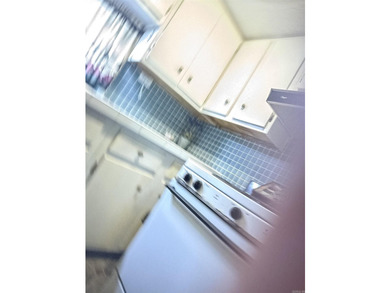 Welcome to the market this 3 bedroom 1.5 bath located on a dead - photo 17