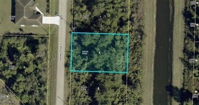 Lehigh Acres Area Lot Sale Pending in Lehigh Acres Florida