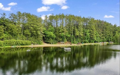 Lake Acreage For Sale in Call Listing Agent, New York