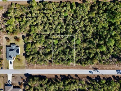 Lehigh Acres Area Lot For Sale in Lehigh Acres Florida