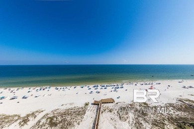 Phoenix Gulf Towers Unit 1104 offers one of the most - photo 29