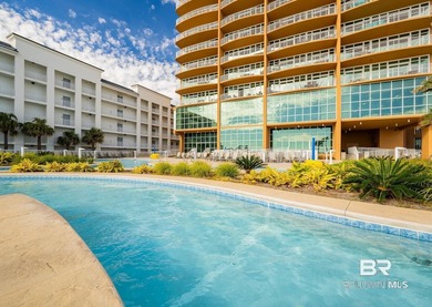 Phoenix Gulf Towers Unit 1104 offers one of the most - photo 34