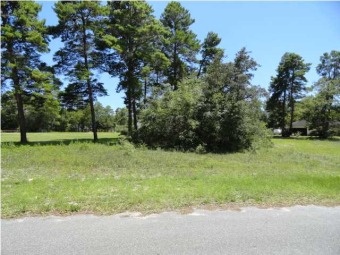 New River - Franklin County Lot For Sale in Carabelle Florida