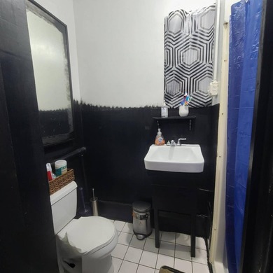 Investment Offering : 113 Ludlow Street , New York , NY Asset - photo 7