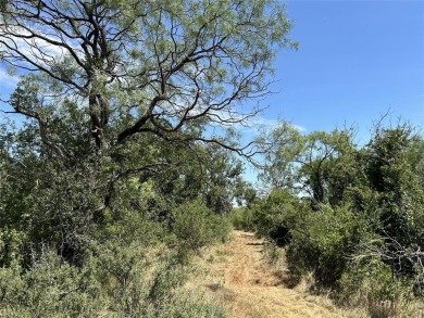Lake Acreage For Sale in Winters, Texas