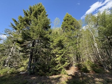 This perfectly situated 2+ acre lot couldn't be in a sweeter - photo 1