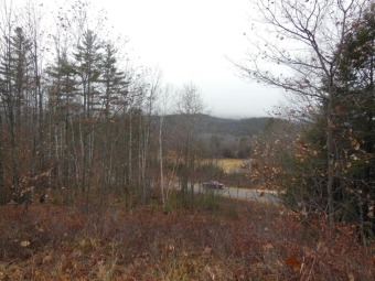 Pemigewasset River Lot For Sale in Campton New Hampshire