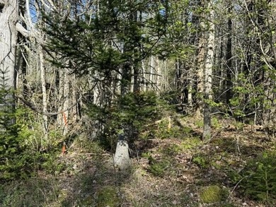 This perfectly situated 2+ acre lot couldn't be in a sweeter - photo 8